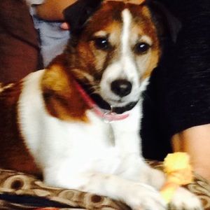 Meet your Posher, William